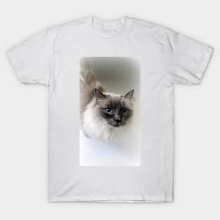 Ragdoll Lou T-Shirt